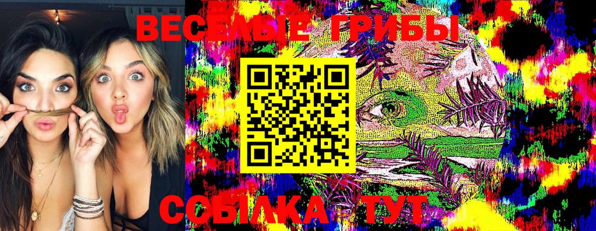 Псилоцибиновые грибы GOLDEN TEACHER  Галлюциногенные грибы прущие грибы  Вход с VPN  Старая Русса 